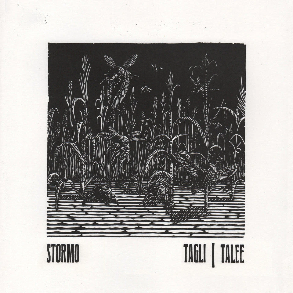 STORM{O} "STORMO - Tagli/Talee" CD 4 STORM{O} "STORMO - Tagli/Talee" CD - Image 2
