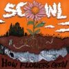 Scowl "How Flowers Grow " CD -Bandtees Store 960bf68195852280a08e163591572bc8