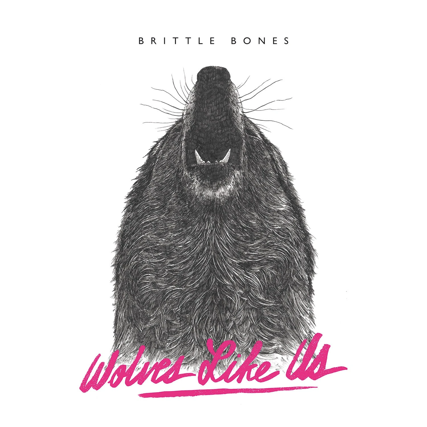 Wolves Like Us "Brittle Bones" CD 3 Wolves Like Us "Brittle Bones" CD