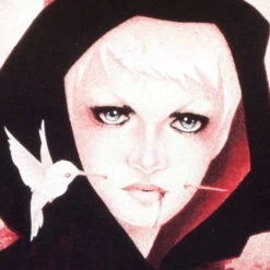 Delain "Interlude" Girls T-shirt -Bandtees Store de767544ba